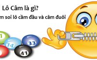 Lô câm đầu và lô câm đít là gì?